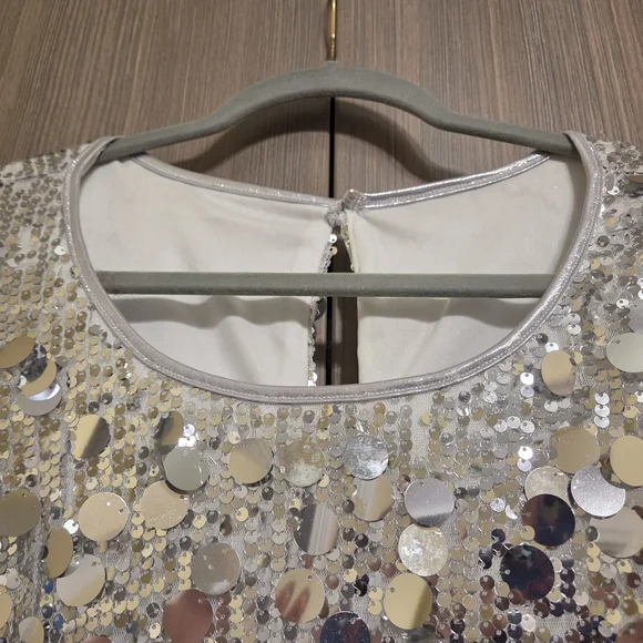 Silver Sequin Sleeveless Dress - Picture 4 of 7